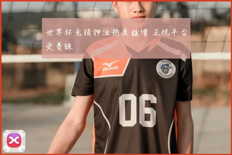 世界杯竞猜押注热度猛增 正规平台受青睐
