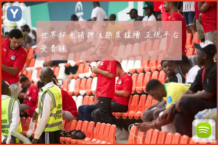 世界杯竞猜押注热度猛增 正规平台受青睐