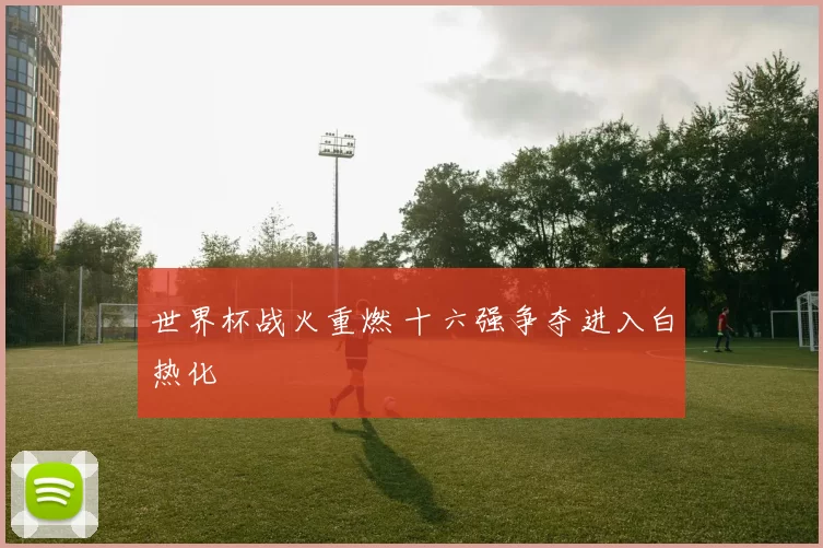 世界杯战火重燃 十六强争夺进入白热化