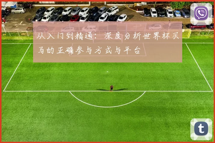 从入门到精通：深度分析世界杯买马的正确参与方式与平台