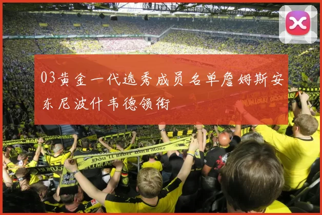 03黄金一代选秀成员名单詹姆斯安东尼波什韦德领衔