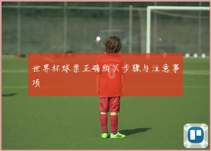世界杯球票正确购买步骤与注意事项