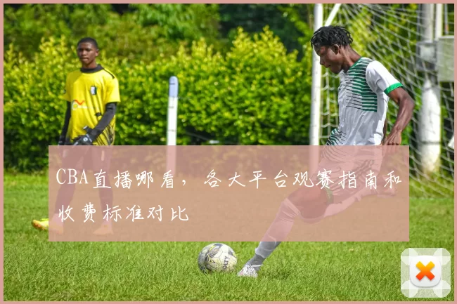 CBA直播哪看，各大平台观赛指南和收费标准对比