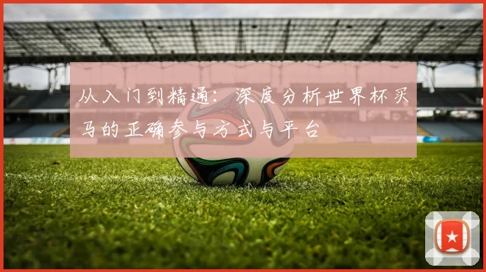 从入门到精通：深度分析世界杯买马的正确参与方式与平台