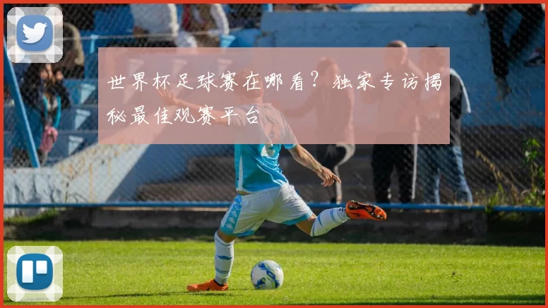 世界杯足球赛在哪看？独家专访揭秘最佳观赛平台