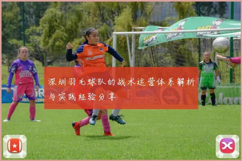 深圳羽毛球队的战术运营体系解析与实践经验分享