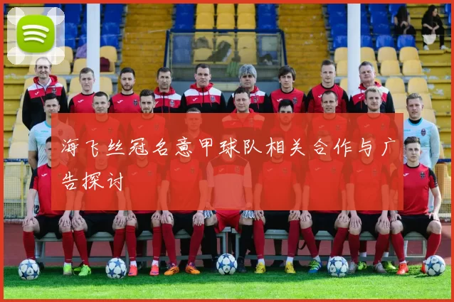 海飞丝冠名意甲球队相关合作与广告探讨