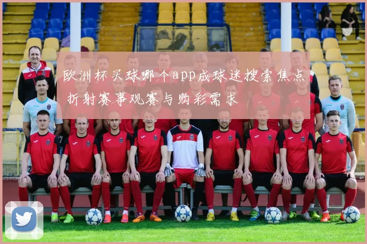 欧洲杯买球哪个app成球迷搜索焦点 折射赛事观赛与购彩需求