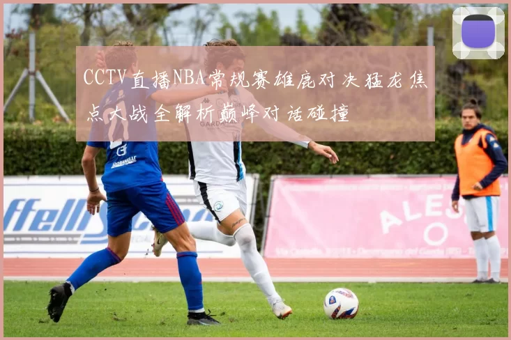 CCTV直播NBA常规赛雄鹿对决猛龙焦点大战全解析巅峰对话碰撞