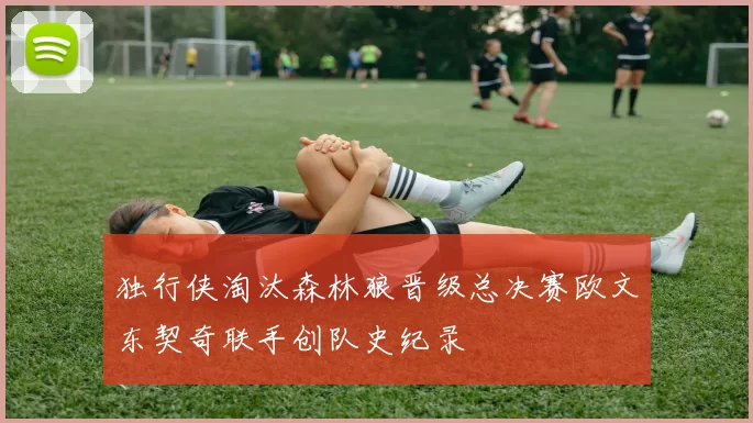 独行侠淘汰森林狼晋级总决赛欧文东契奇联手创队史纪录