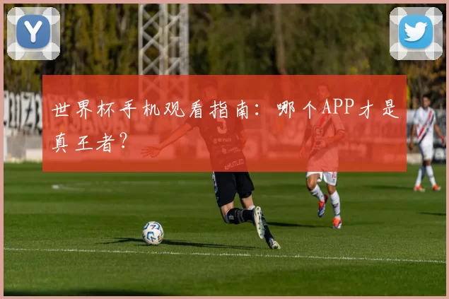 世界杯手机观看指南:哪个APP才是真王者?